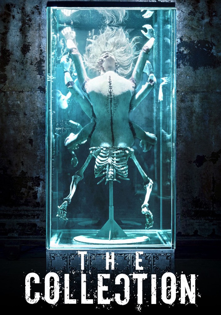 The Collection streaming where to watch online?